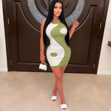 Load image into Gallery viewer, Color Block Sleeveless Tight Knit Mini Dress