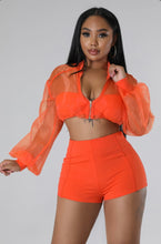 Load image into Gallery viewer, Organza Top And Solid Color Shorts Two Piece Set