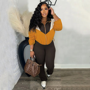 Colorblocked Zipper Cardigan Leggings Sweatsuit Suit