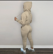 Load image into Gallery viewer, Letter Print Plush Hooded Sweatshirt And Pant Sport Suit
