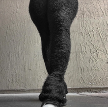 Load image into Gallery viewer, Solid Color Plush Casual Micro Flare Pants
